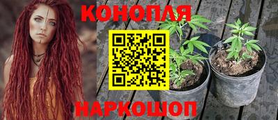 индика Донской