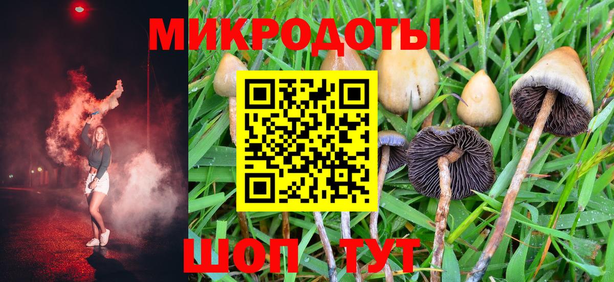 Галлюциногенные грибы прущие грибы Минусинск